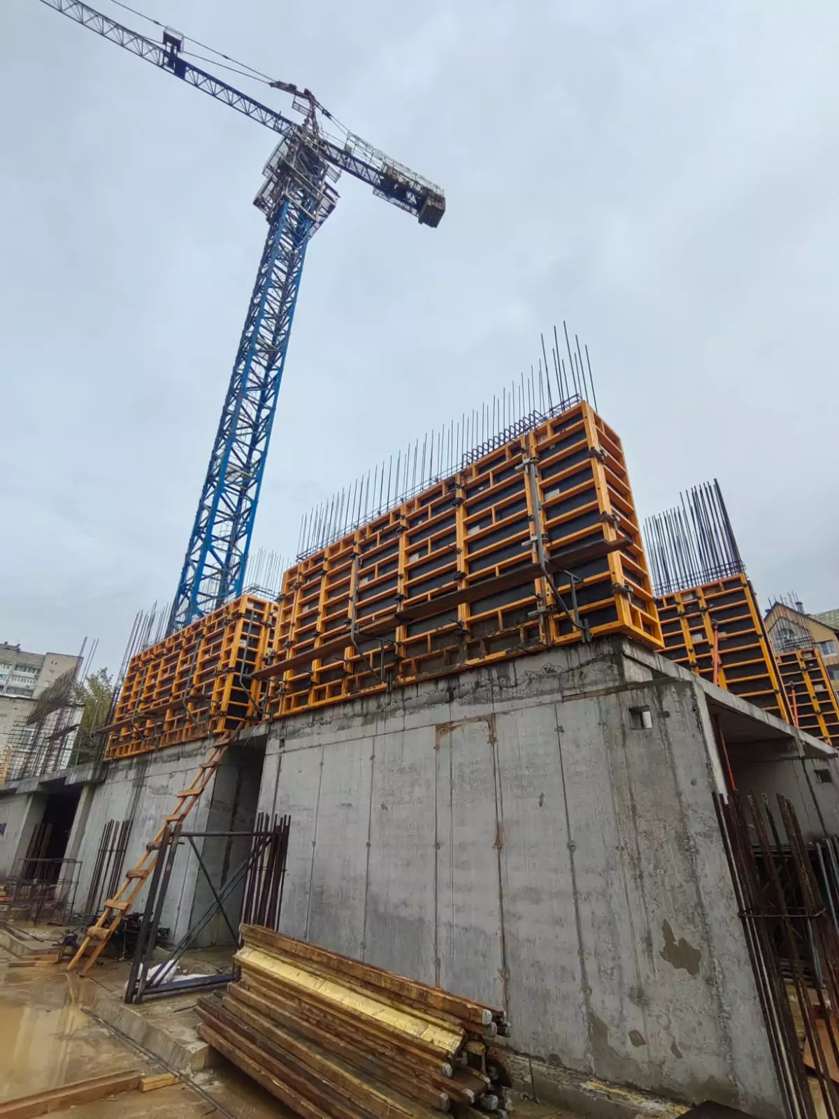 Август 2025 12