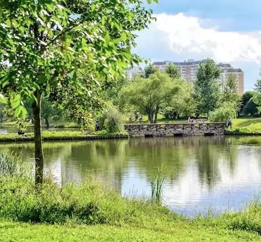 Фото  окружения